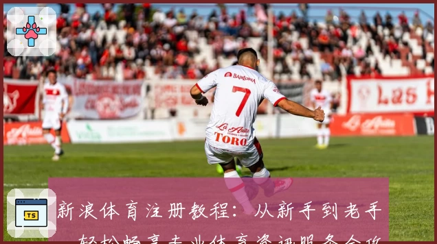 新浪体育注册教程：从新手到老手，轻松畅享专业体育资讯服务全攻略
