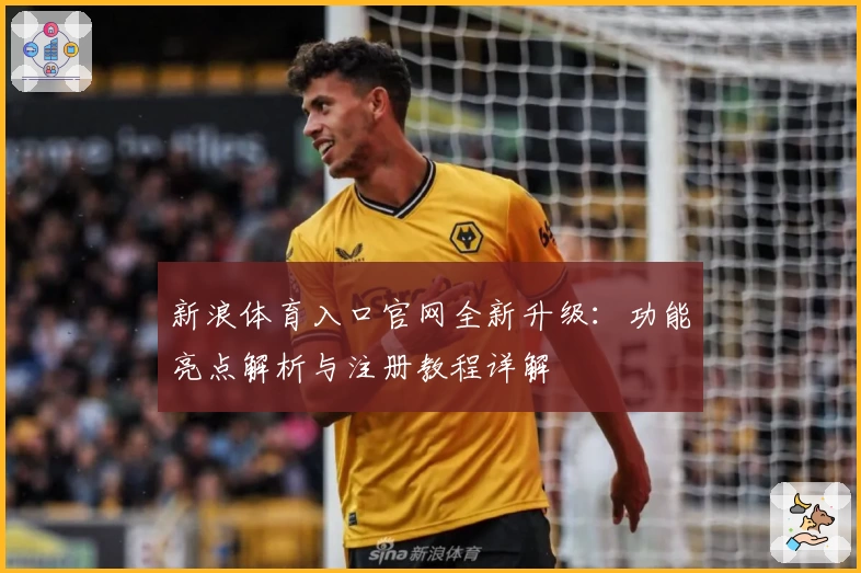 新浪体育入口官网全新升级:功能亮点解析与注册教程详解