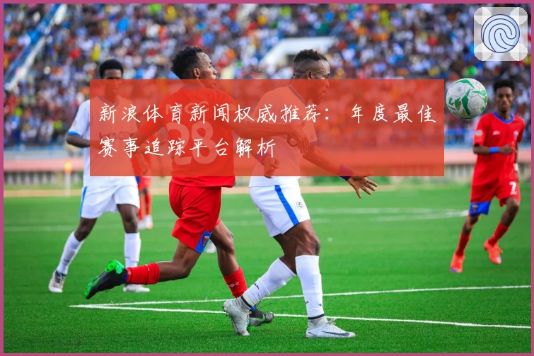新浪体育新闻权威推荐：年度最佳赛事追踪平台解析