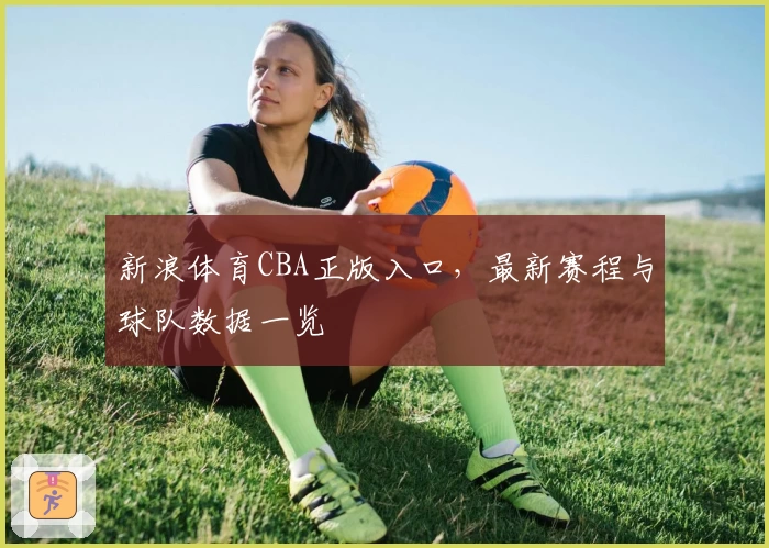 新浪体育CBA正版入口，最新赛程与球队数据一览