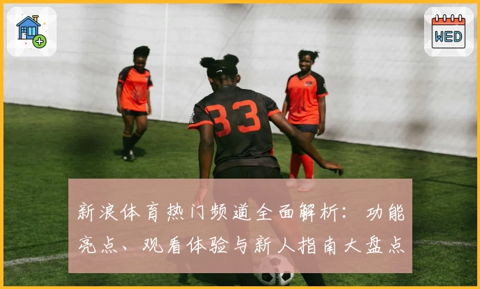 新浪体育热门频道全面解析：功能亮点、观看体验与新人指南大盘点