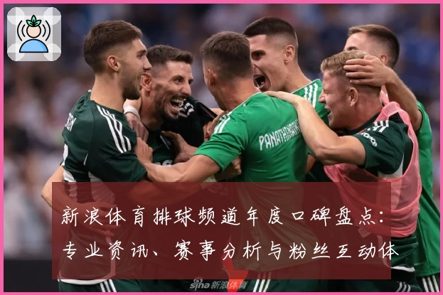 新浪体育排球频道年度口碑盘点：专业资讯、赛事分析与粉丝互动体验大揭秘