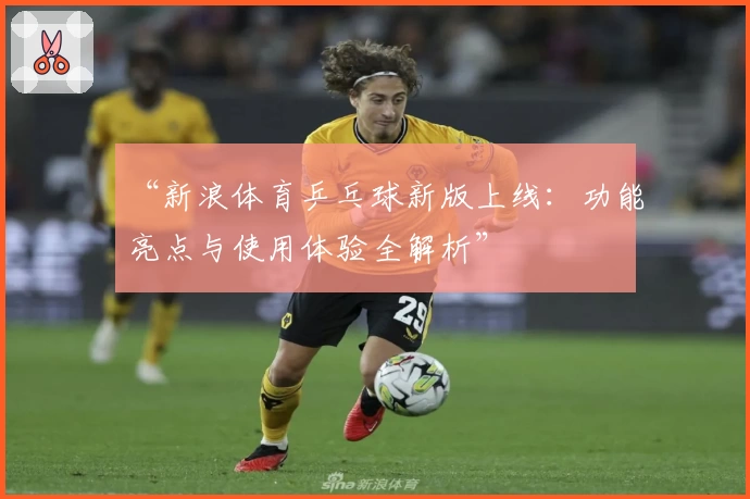 “新浪体育乒乓球新版上线：功能亮点与使用体验全解析”