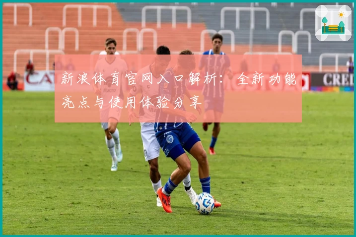 新浪体育官网入口解析：全新功能亮点与使用体验分享